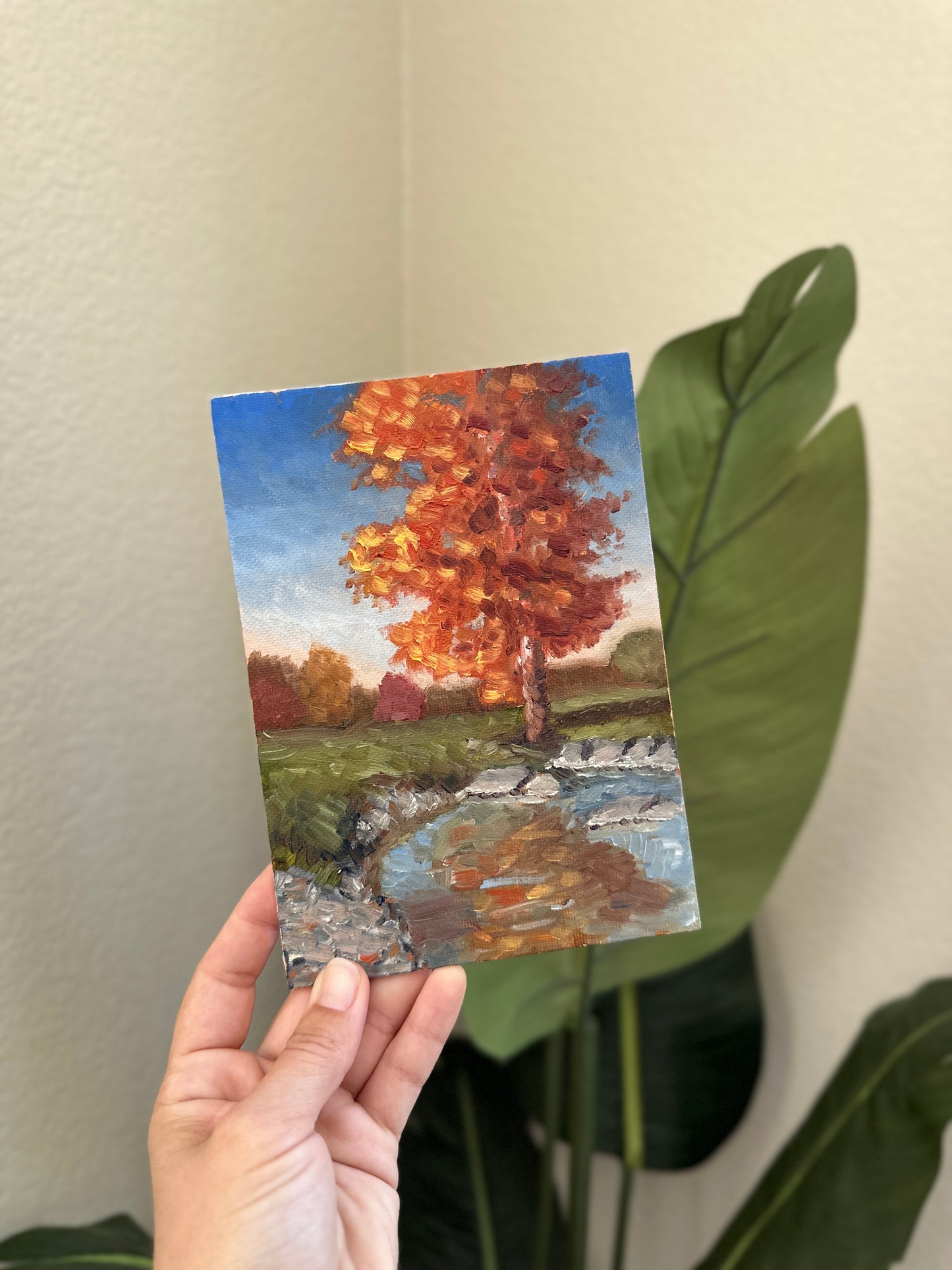 “Fall Reflections”