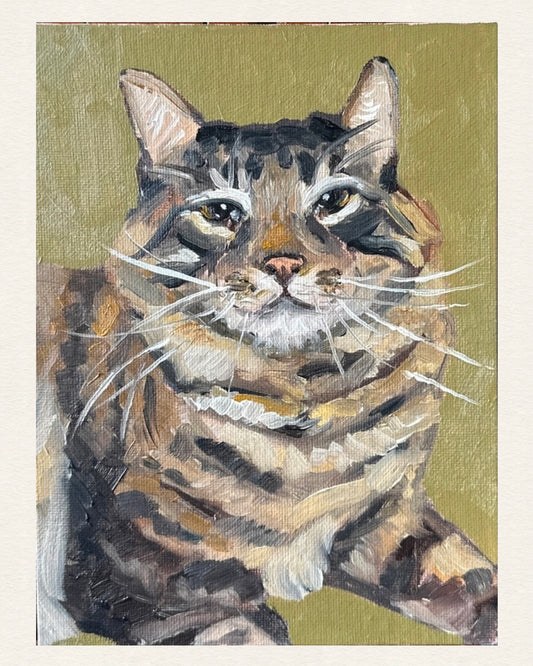 “Apollo”
