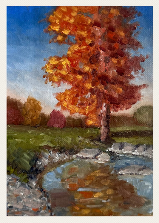“Fall Reflections”