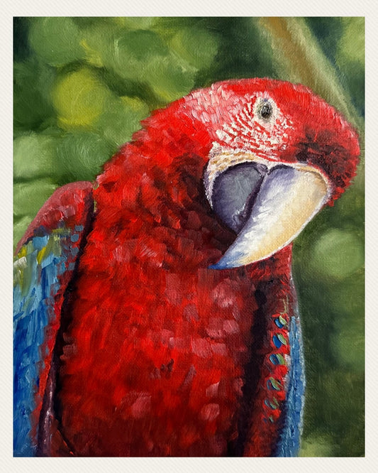 “Polly”