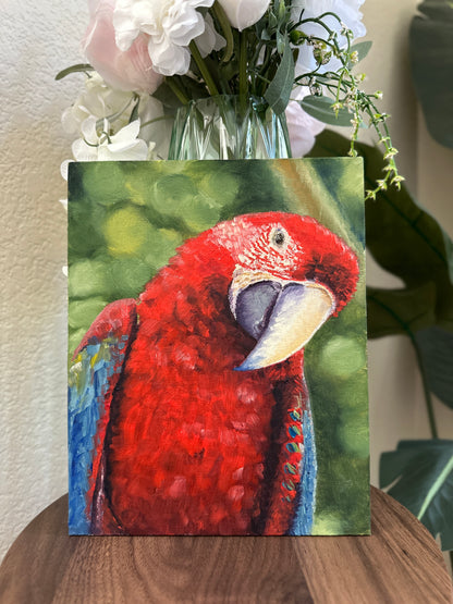 “Polly”
