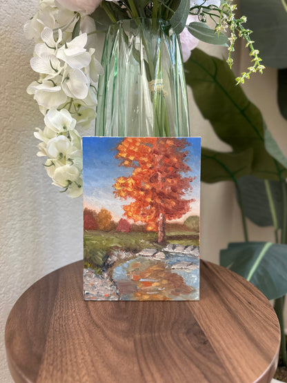 “Fall Reflections”